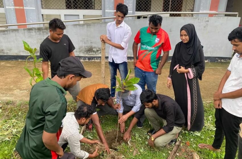  মহালছড়ি সরকারি কলেজ ছাত্রদলের বৃক্ষ রোপন কর্মসূচি পালন
